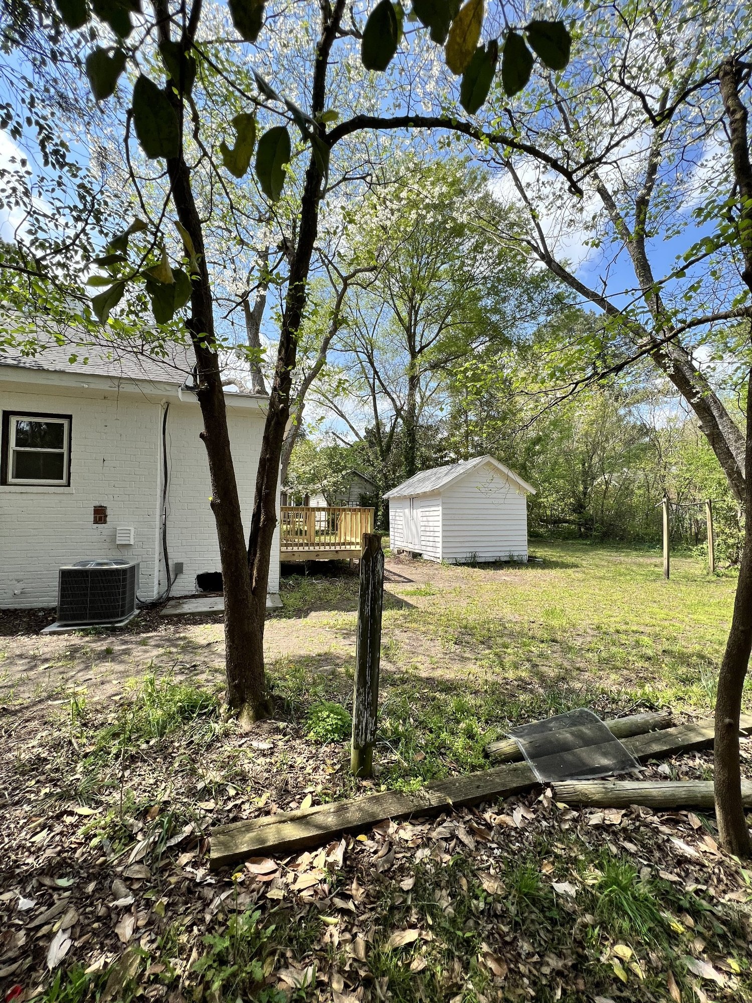 Yard, deck, and outbuilding at 225 Bond Street